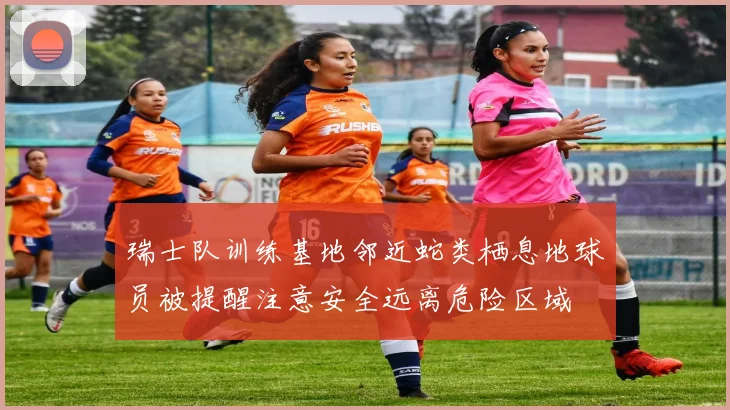 瑞士队训练基地邻近蛇类栖息地球员被提醒注意安全远离危险区域